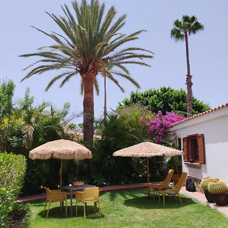 Tropical Con Piscina Y Aire Acondicionado * Μασπαλόμας